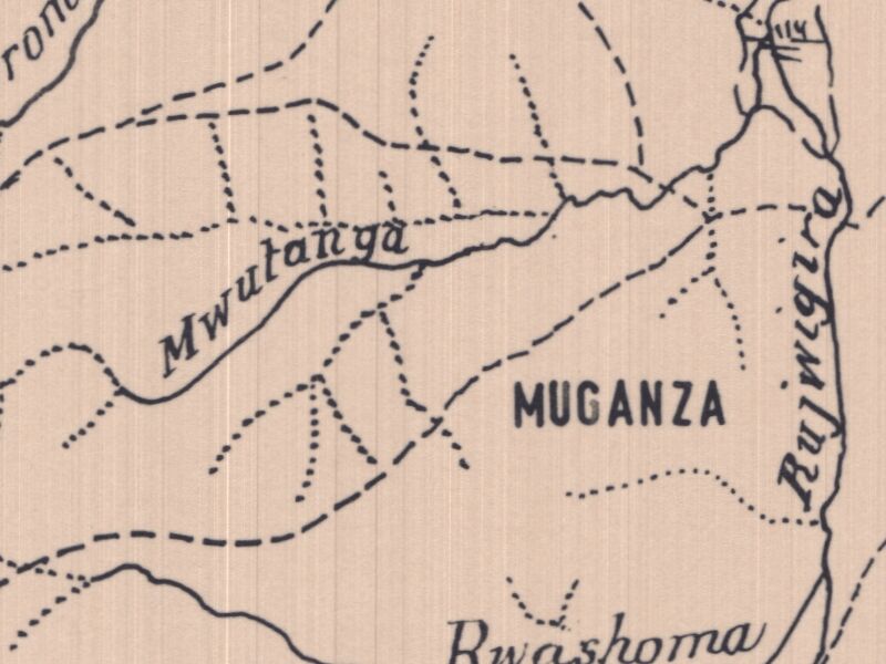 overview