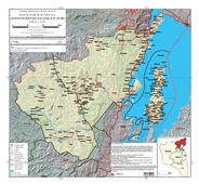 overview