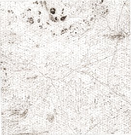 overview