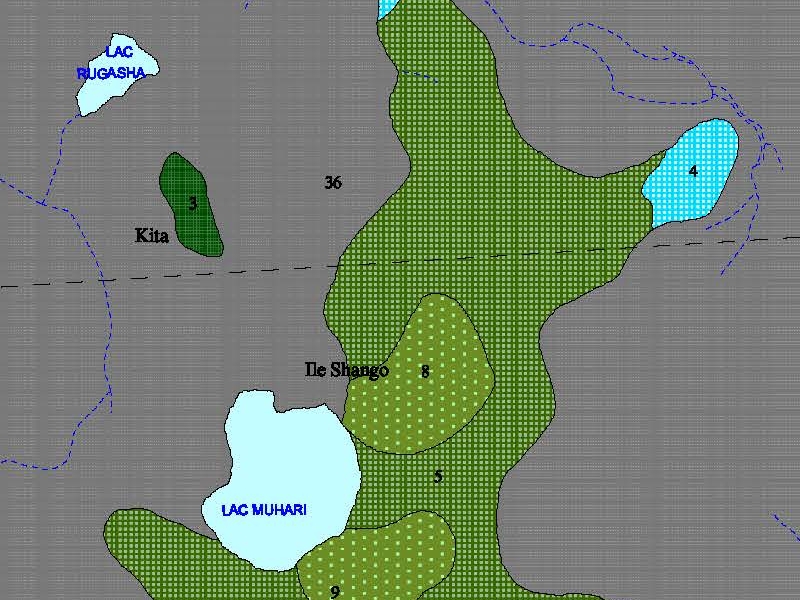 overview