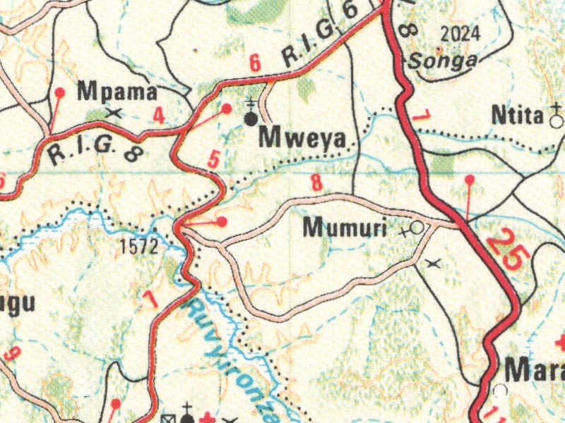 overview