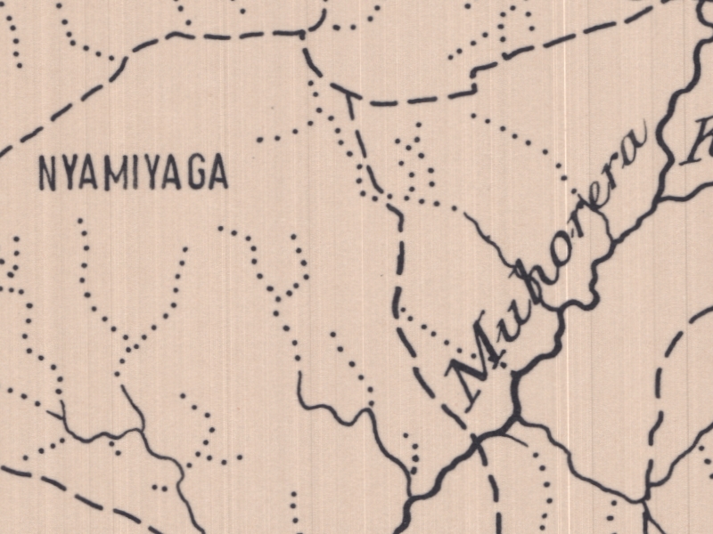 overview