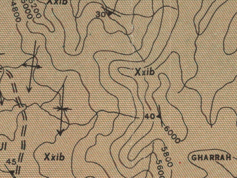 overview