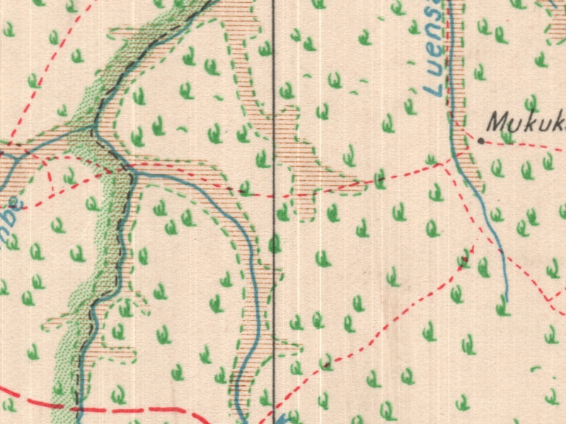 overview