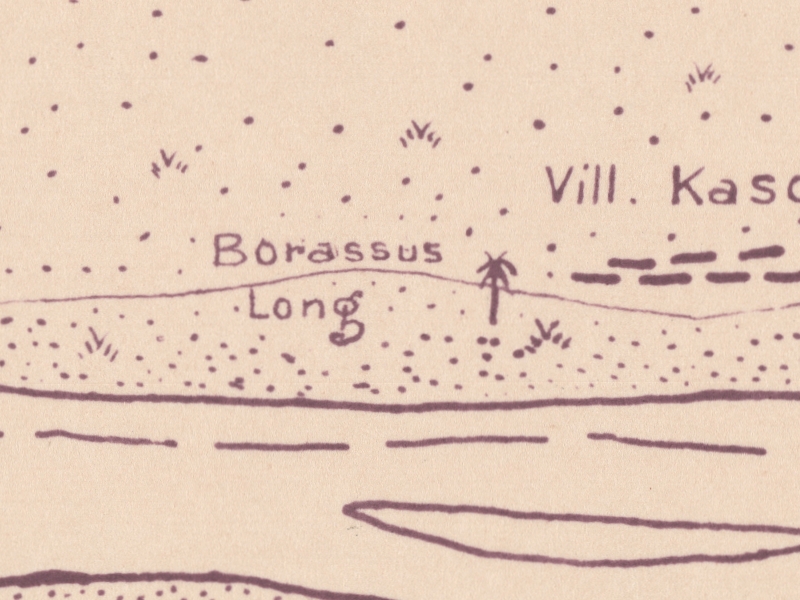 overview