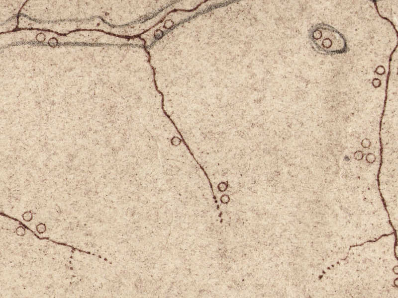 overview