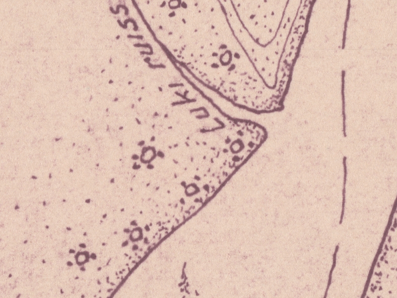 overview