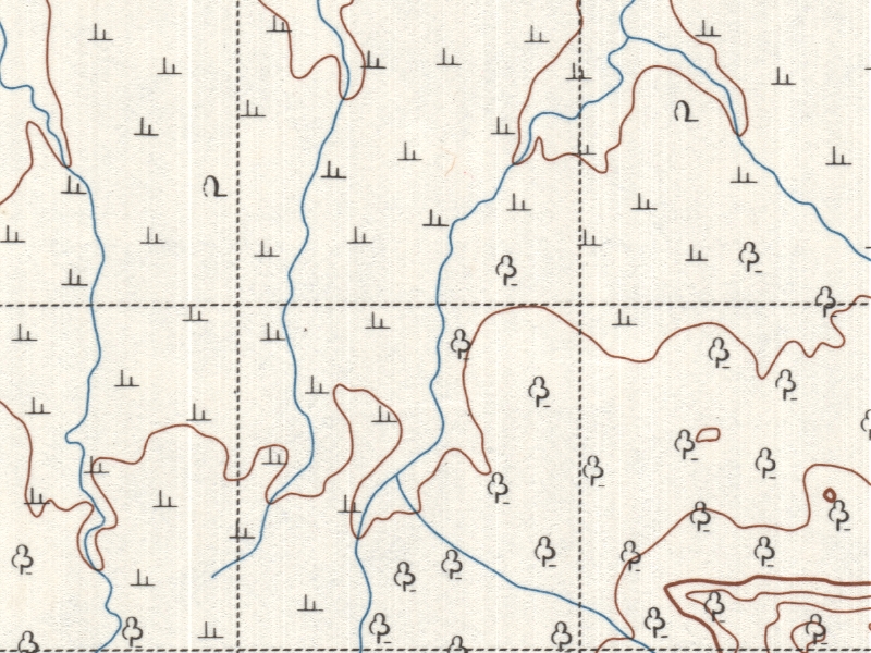 overview