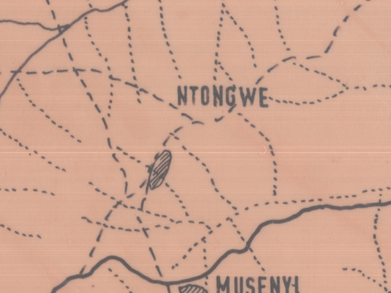 overview