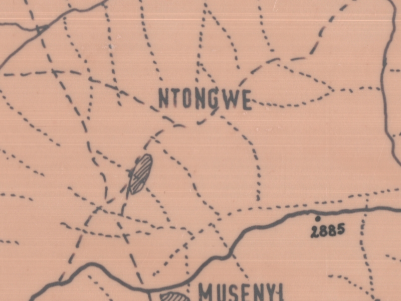 overview