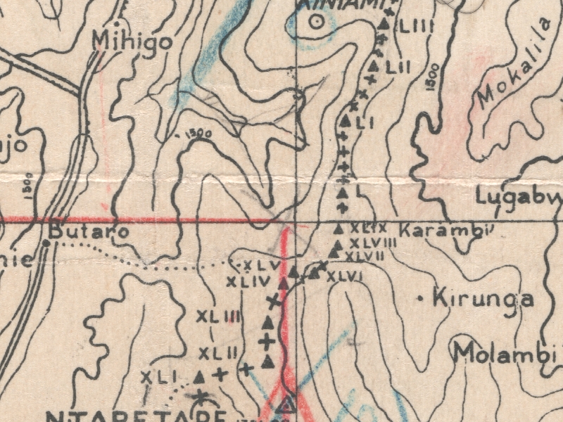 overview