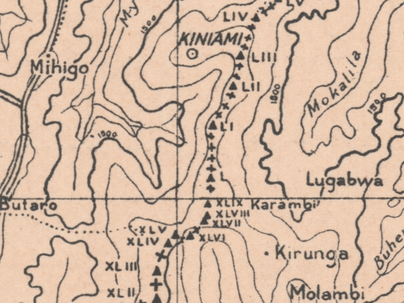 overview