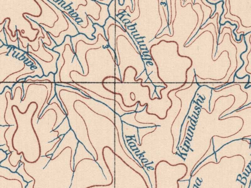overview