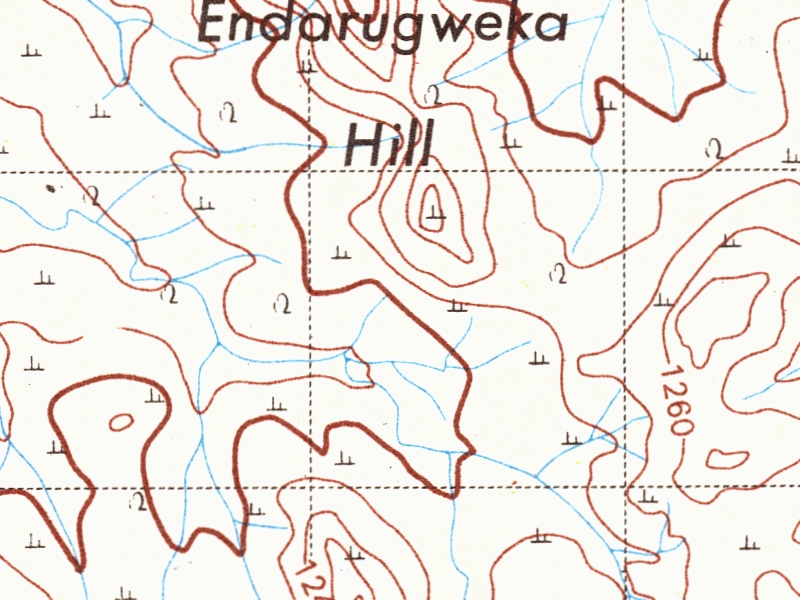 overview
