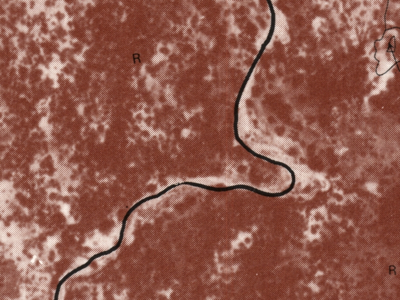 overview