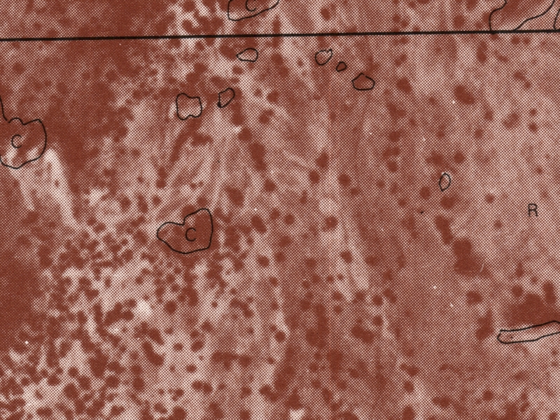overview