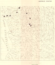 overview