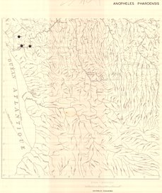 overview